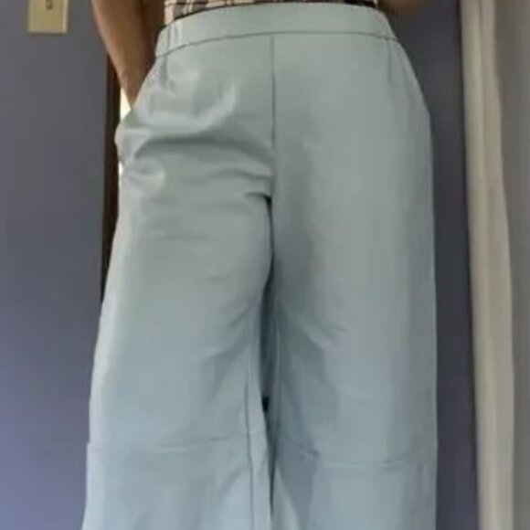 NWT Anthropologie Maeve Cropped Faux Leather Pant in Sz Large Petite MSRP $148 - Picture 4 of 12